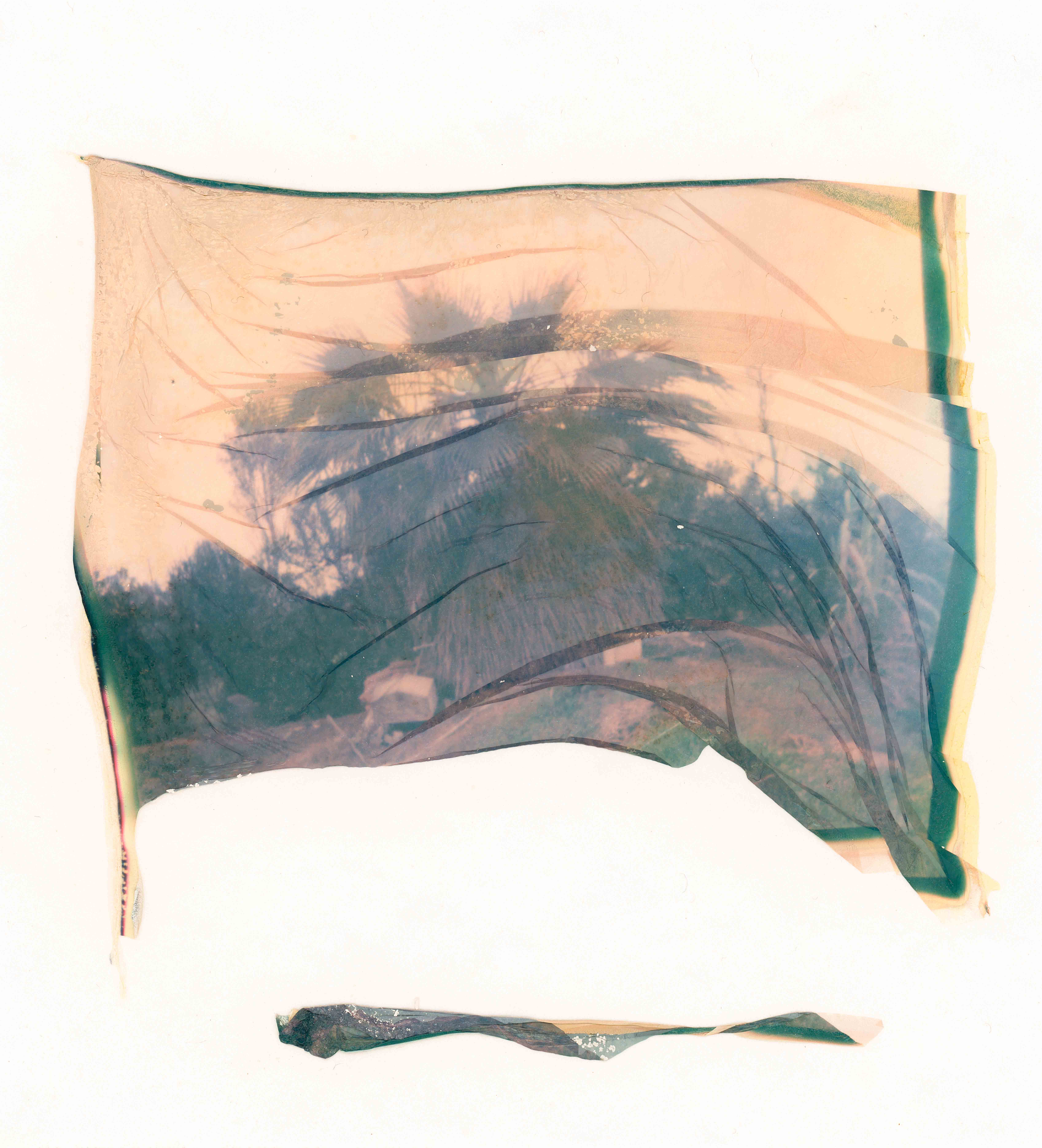 César Augusto Ramírez. S/T (12), 2021. Polaroid emulsion on watercolor paper. 11.50 × 12 cm