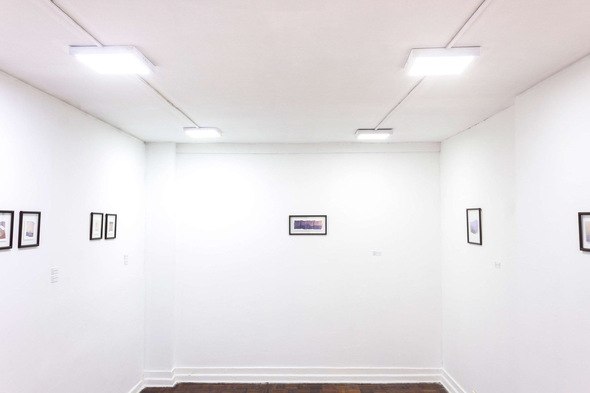 Antes de que desaparezca · Espacio La Sala · Lima, Peru · 2019