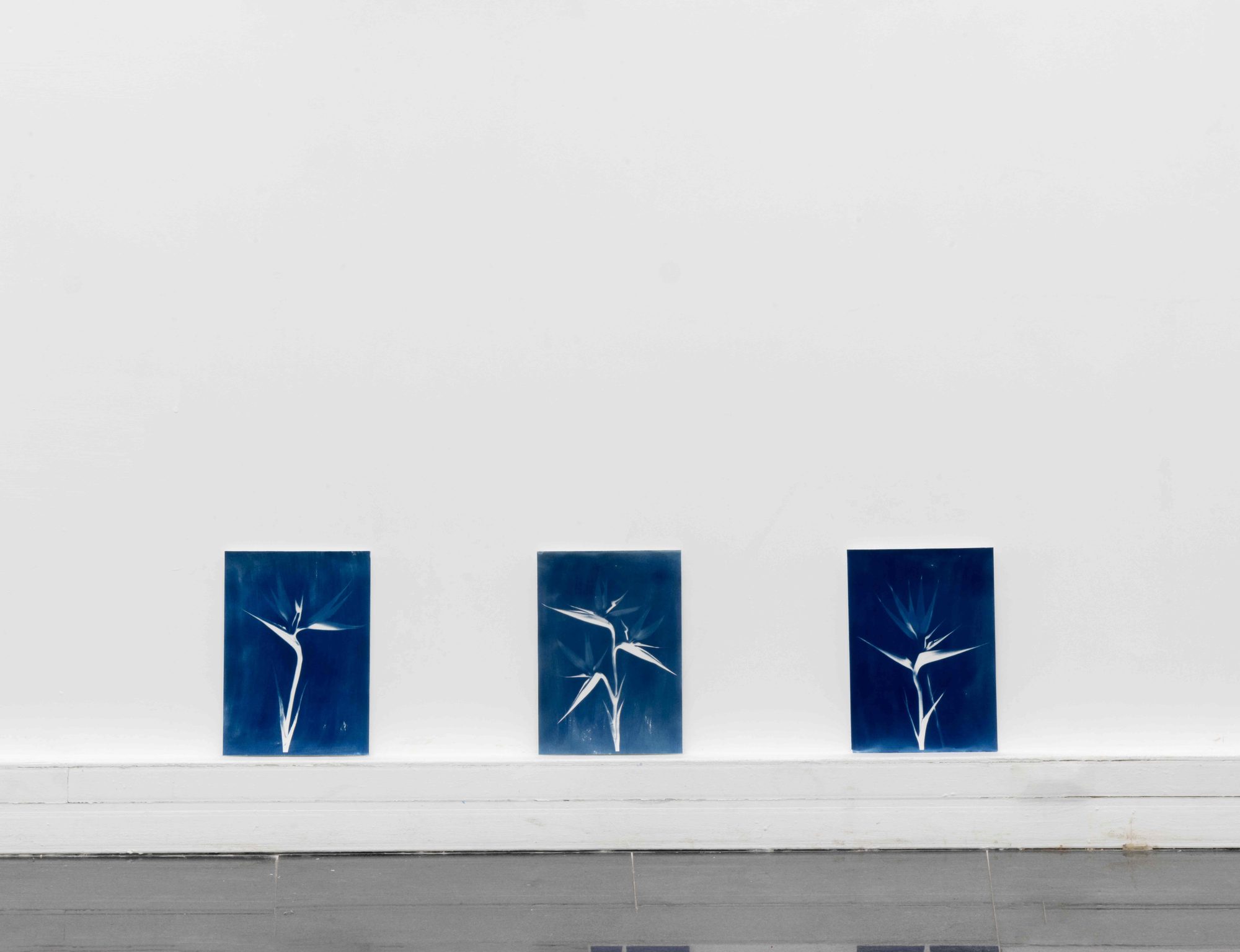 12th edition, Prix Michel Journiac · Galerie Michel Journiac · Paris, France · 2025