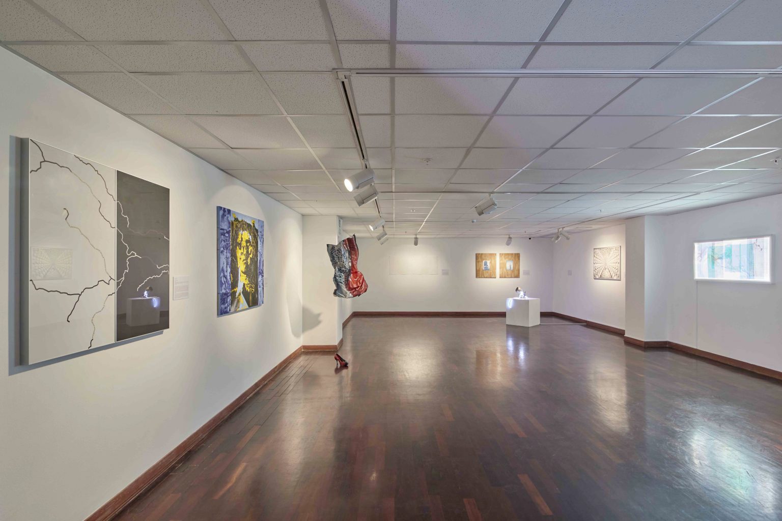 ICPNA Contemporary Art Prize · ICPNA Miraflores Gallery · Lima, Peru · 2022
